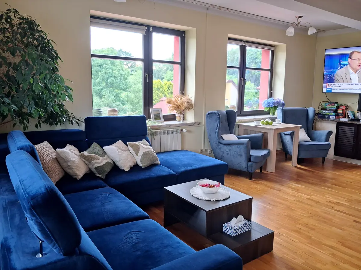 Salon z niebieską sofą